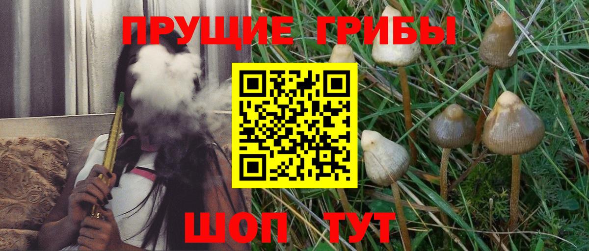 Псилоцибиновые грибы GOLDEN TEACHER  Псилоцибиновые грибы Psilocybe  Унеча  как найти   Вход с VPN 